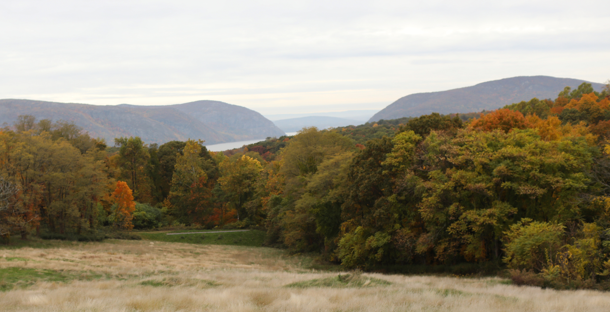 Banner Image Environment Our Story