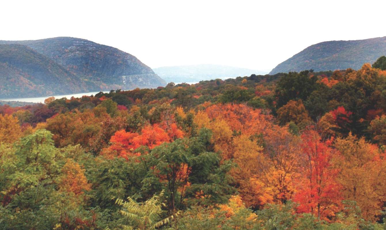 Content Autumn View Environment Our Story