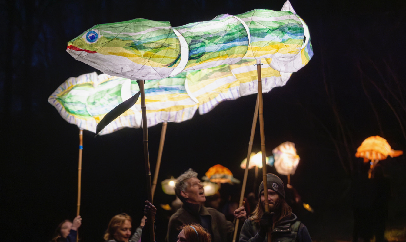 Content Highland Lights Snake Community