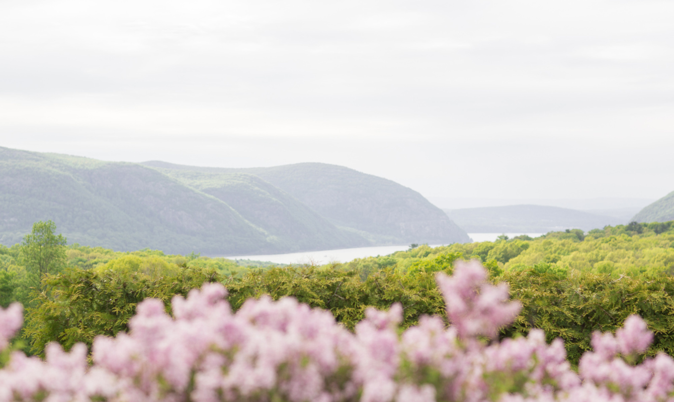 Content Spring Flowers View Environment Our Story