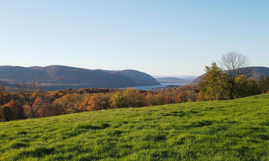 Link Block Fall View Staying