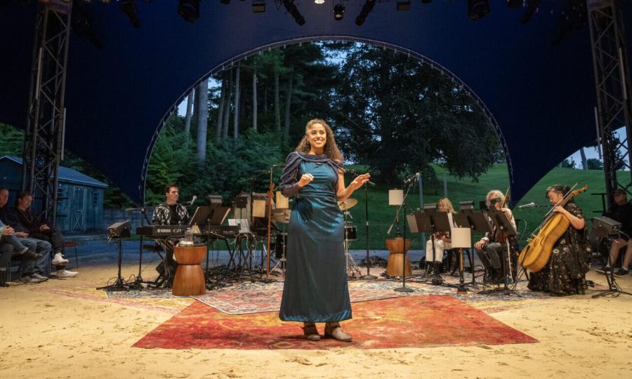 Penelope Study Guide By Sean Mcnall