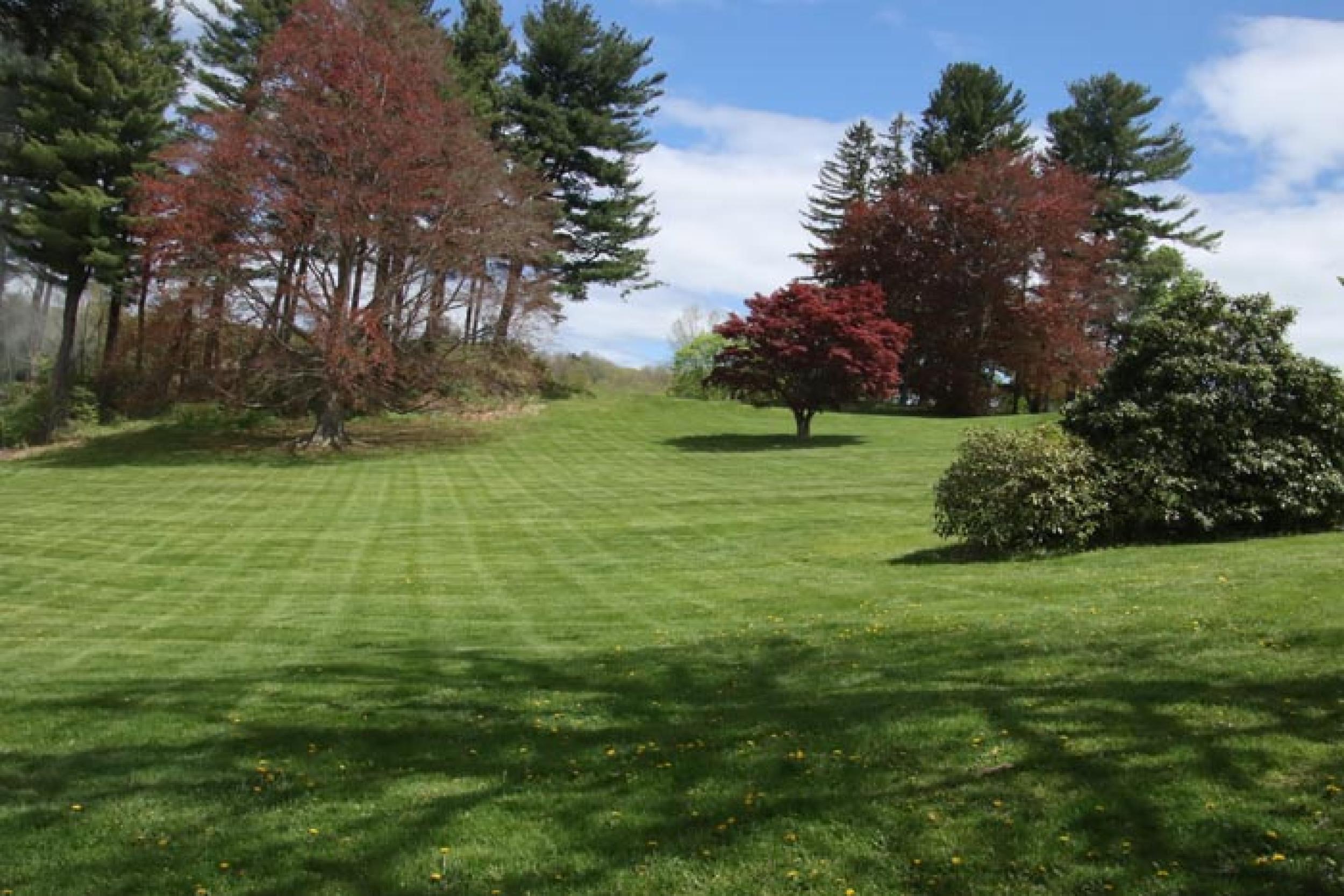 The Greenest Theater In America 4